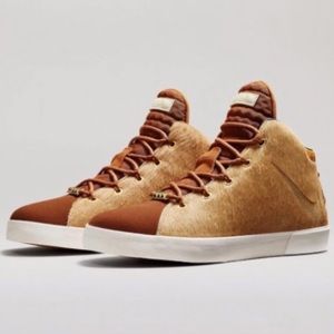 lebron james brown shoes